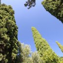 verona-italy-lake-garda-padua-torreglia-19