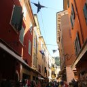 verona-italy-lake-garda-padua-torreglia-24