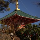 Naritasan-Shinshoji-Temple