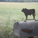 Kansas-Road-31-Coffeyville-3