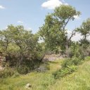 Kansas-Wichita-Flint-Hills-6