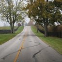 lexington-kentucky-versailles-2