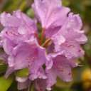 vilnius-lithuania-21