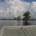 In-the-heart-of-Cajun-country-swamp-tours-courtesy-of-McGees-Landing