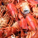 Portland-Ogunquit-Maine-28