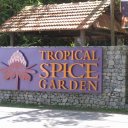 Penang-Spice-Farm