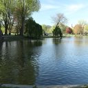 Boston-Worchester-Plymouth-Rock-Massachusetts-20