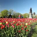 Boston-Worchester-Plymouth-Rock-Massachusetts-22