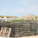 Boston-Worchester-Plymouth-Rock-Massachusetts-46