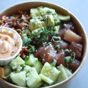 Boston-Worchester-Plymouth-Rock-Massachusetts-48