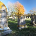 Cape-Cod-Quivet-Neck-11