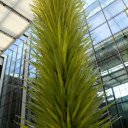 boston-massachusets-fenway-fine-arts-harvard-36