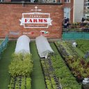 boston-massachusets-fenway-fine-arts-harvard-51