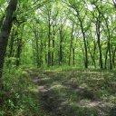 silver-oak-the-cooperage-higbee-6