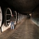 milestii-mici-moldova-winery-1