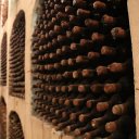 milestii-mici-moldova-winery-2