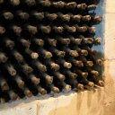 milestii-mici-moldova-winery-4