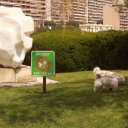 Course, that sign indicates no doggies allowed on the lawn