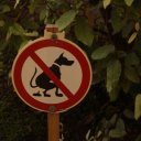 No poopsies please