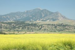 Montana