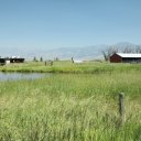 Montana-Missoula-Bozeman-Big-Timber-11