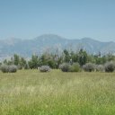 Montana-Missoula-Bozeman-Big-Timber-13