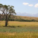 Montana-Missoula-Bozeman-Big-Timber-25