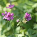 Montana-Missoula-Bozeman-Big-Timber-5