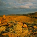 Sunset in Aba Huab Valley