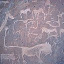 4000 year old Bushman rock engravings