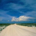 Steamy afternoon in the Etosha Pan