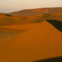 Endless dunes of the Namib Desert stretch into the sunset