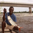 Fishing along the Zambezi River in the Caprivi Strip