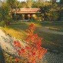 Chitwan-Lodge-Nepal