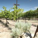 Carson-Valley-Nevada-1