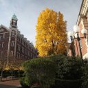 Hyde-Park-Fingerlakes-New-York-City-Long-Island-17