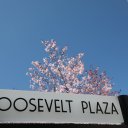 New-York-Buffalo-Rochester-Conquest-18