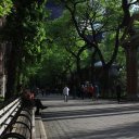 Park-benches-Central-Park