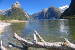 New Zealand