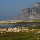 A lagoon with a dramatic backdrop of limestone cliffs provides the perfect nesting place for all kinds of birds