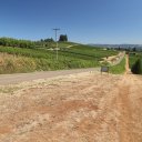 willamette-valley-vineyards-1