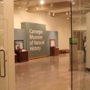 Carnegie Museum of Natural History, Pittsburg