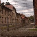 The evil looking barbed wire inside Auschwitz