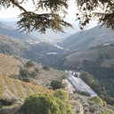 Portugal-Porto-Douro-Wine-27