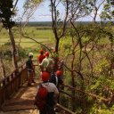 Ziplining-at-the-Hacienda-Campo-Rico-ranch