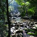 puerto-rico-el-yunque-san-juan-15