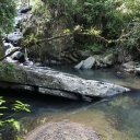 puerto-rico-el-yunque-san-juan-16