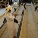 falconry-souq-waqif-2