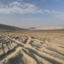 qatar-dune-bashing-10
