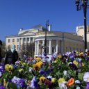 Flowers near the Kremlin